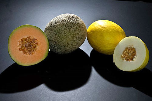 Massa av melon kan vara av olika färger