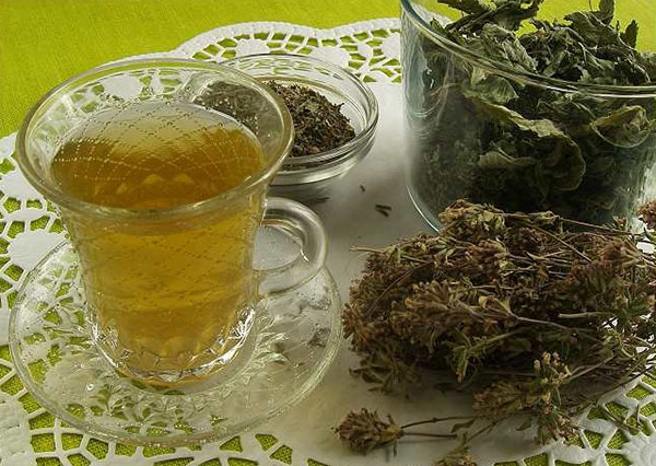 ceai din frunze de cătină