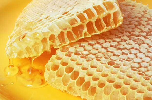 น้ำผึ้งจากไม้กระถินเทศในรังผึ้ง
