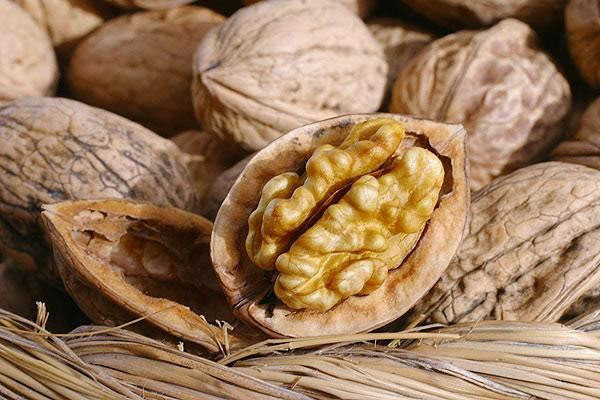 walnut yang berguna