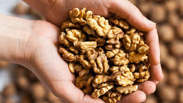 norma penggunaan walnut