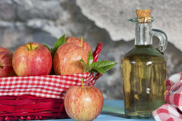 kompleks asid organik dalam cuka sari apel