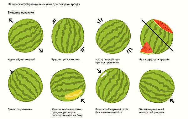 De regels voor het kiezen van een rijpe, sappige watermeloen