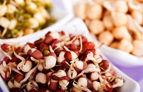 Kacang kacang Adzuki mempunyai rasa yang manis dan aroma gila