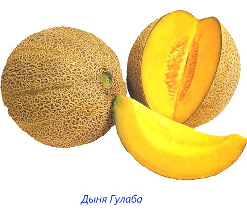 Melon Goulab