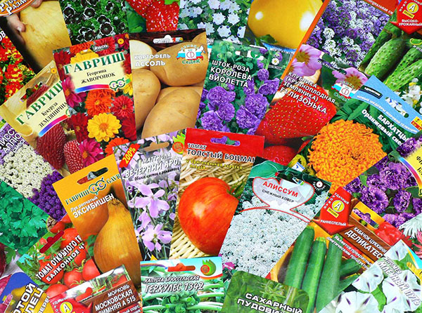 gėlių ir daržovių sėklos