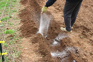 Fertilizarea solului
