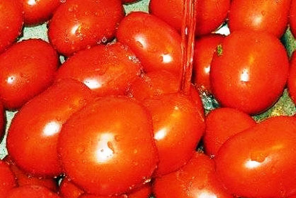 mijn tomaten