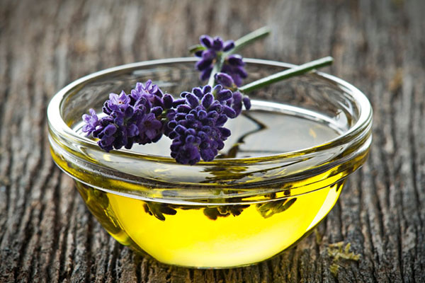 minyak lavender untuk rambut berminyak