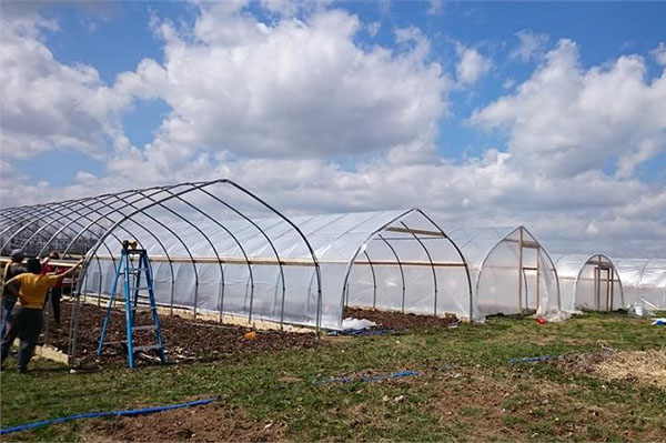 准备种植蔬菜的温室
