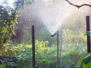 Polavtomatski namakalni sistem za vrt