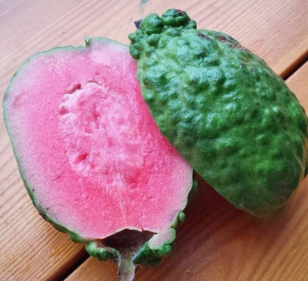 in de vrucht van guave zitten veel vitamines