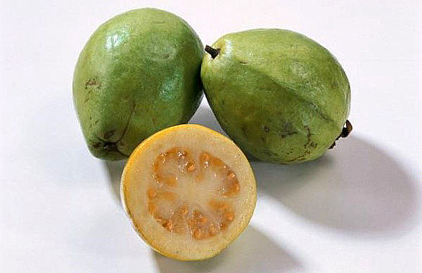 guava sort med gult kött