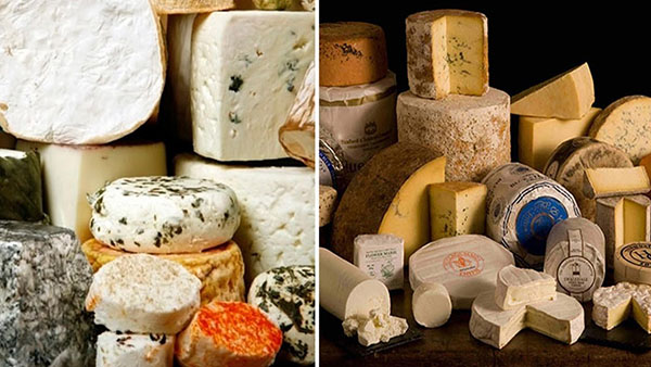 разновидность сыра