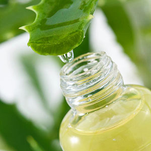Aloe juice används i både traditionell och folkmedicin