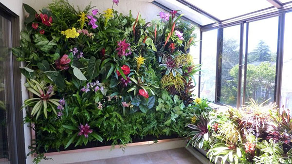 живи зид цвјетних биљака