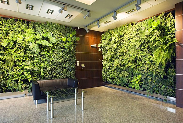 paredes vivas de plantas diferentes