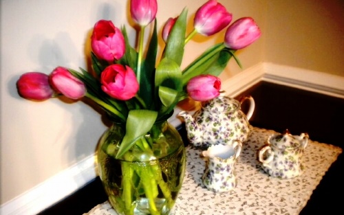 郁金香插在花瓶里