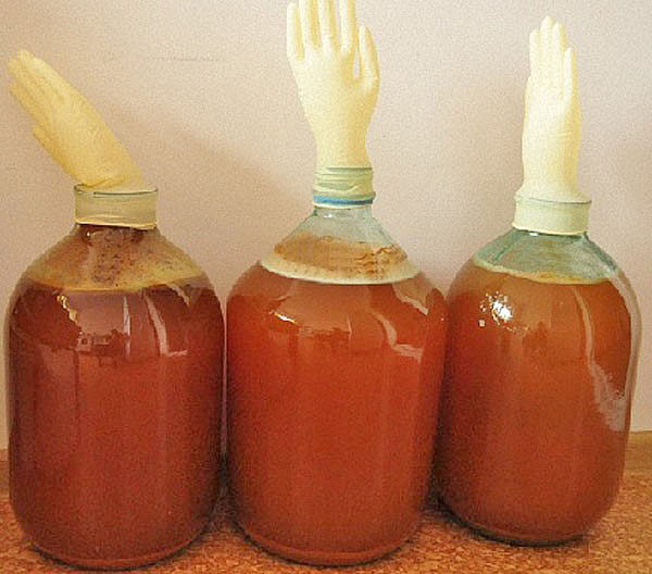 fermentarea sucului de mere