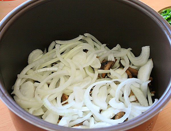 letak bawang dengan bawang putih