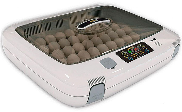 klekkeri-inkubator