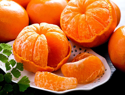 在柑橘中含有大量的维生素和营养素