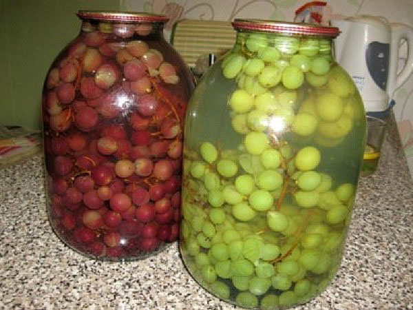 compota de uvas para o inverno
