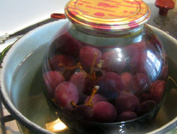 esterilizar suco de uva