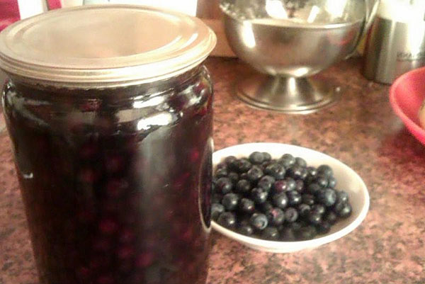 Blueberries sedia untuk musim sejuk