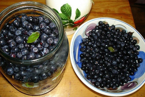 barang blueberry tin