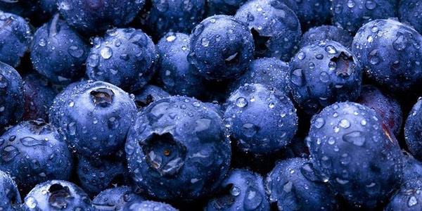 dicuci blueberries