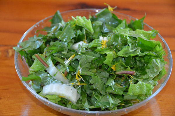 salada para a saúde