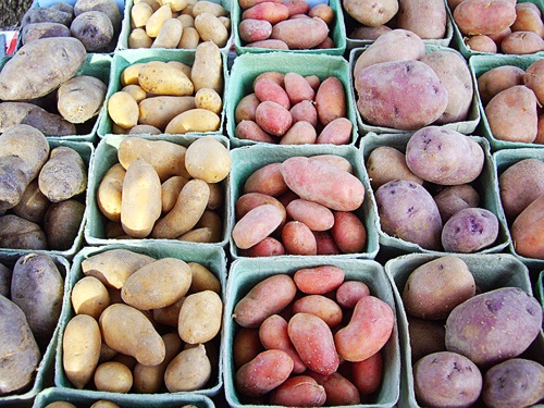 cartofi în formă de penis)