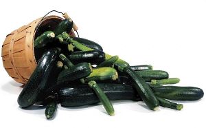 pada tanaman foto zucchini