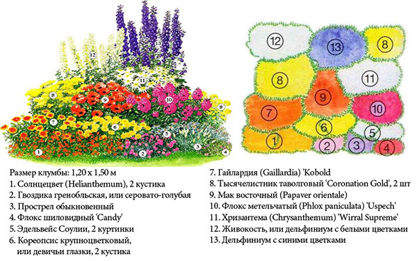 Схема цветника №2