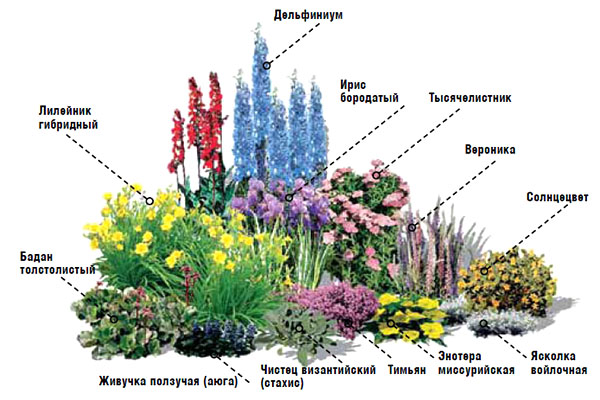 Схема цветника №3