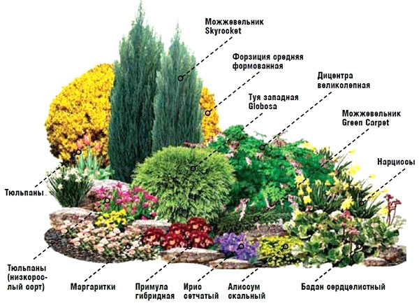 Schema grădină de flori № 4