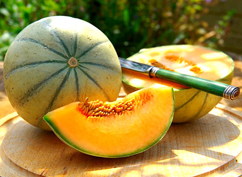 Meloen wordt 2 uur na het eten geconsumeerd.