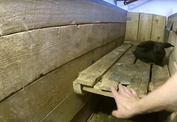 carcasă din lemn pentru iepuri