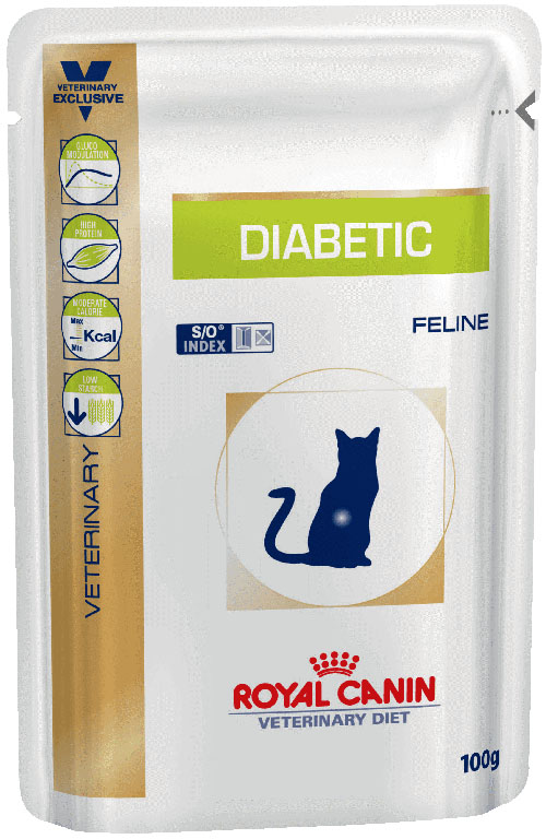 makanan kucing dengan diabetes