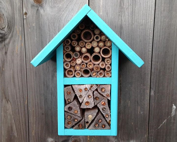 hus för enskilda bin