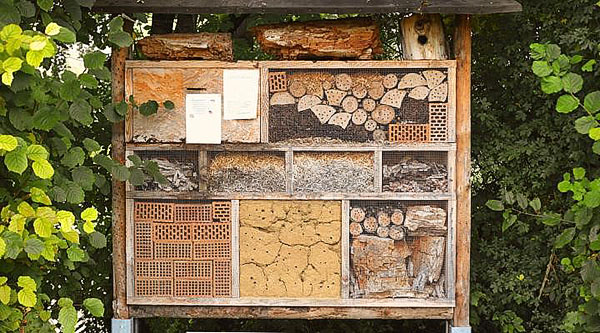 Husdesign för enkla bin