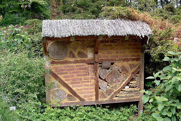 et hus for bier i skogen