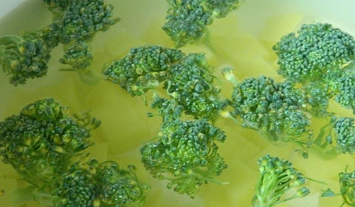 brokoli ekle