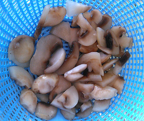 洗净切蘑菇