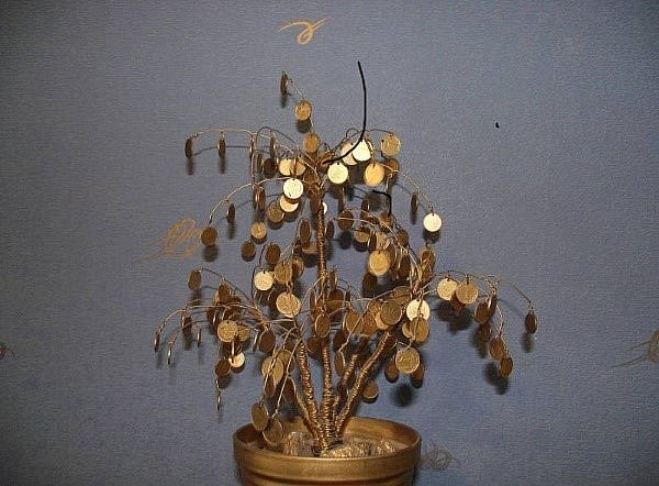 árvore de dinheiro com galhos