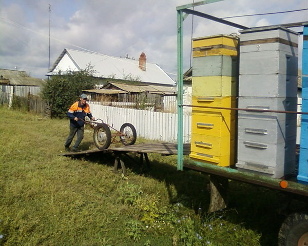 Transporte de colmeias para o apiário