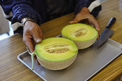 Diabetici kunnen een onvolgroeide vrucht van meloen consumeren