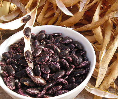 Bean bladeren en bonen verbeteren de kwaliteit van leven van een diabeet