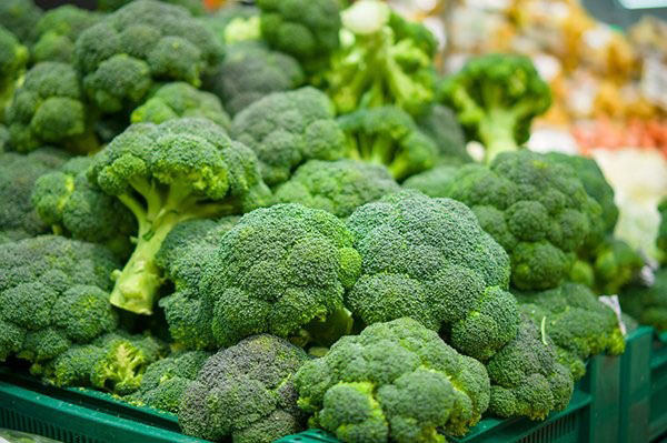 žetev brokolija